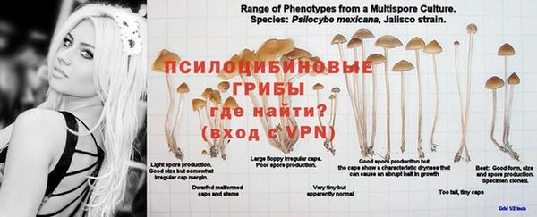 mdpv Горняк